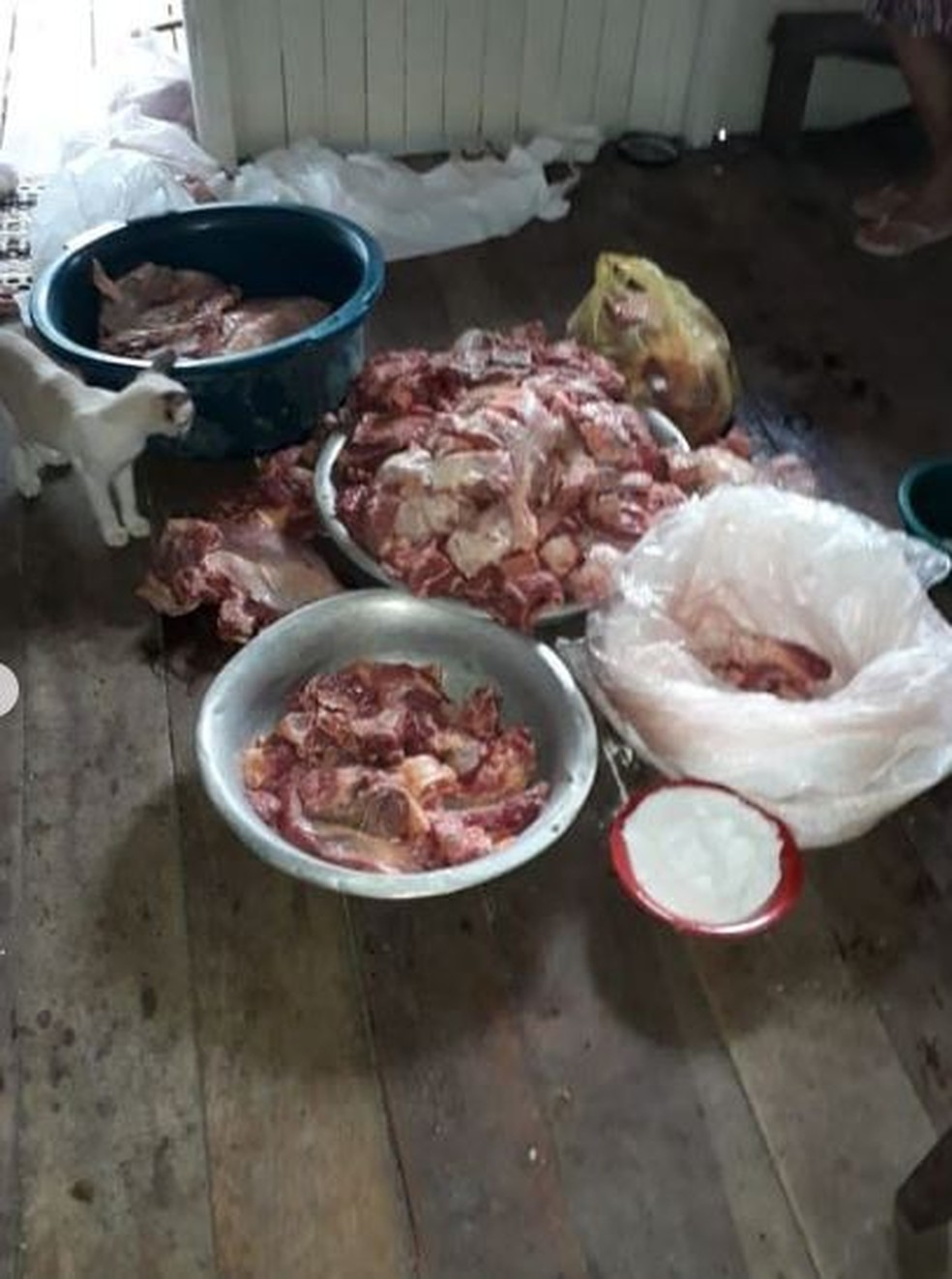 Mais de 200 quilos de carne são apreendidos pela polícia após furto de bois no Acre — Foto: Arquivo/PC-AC