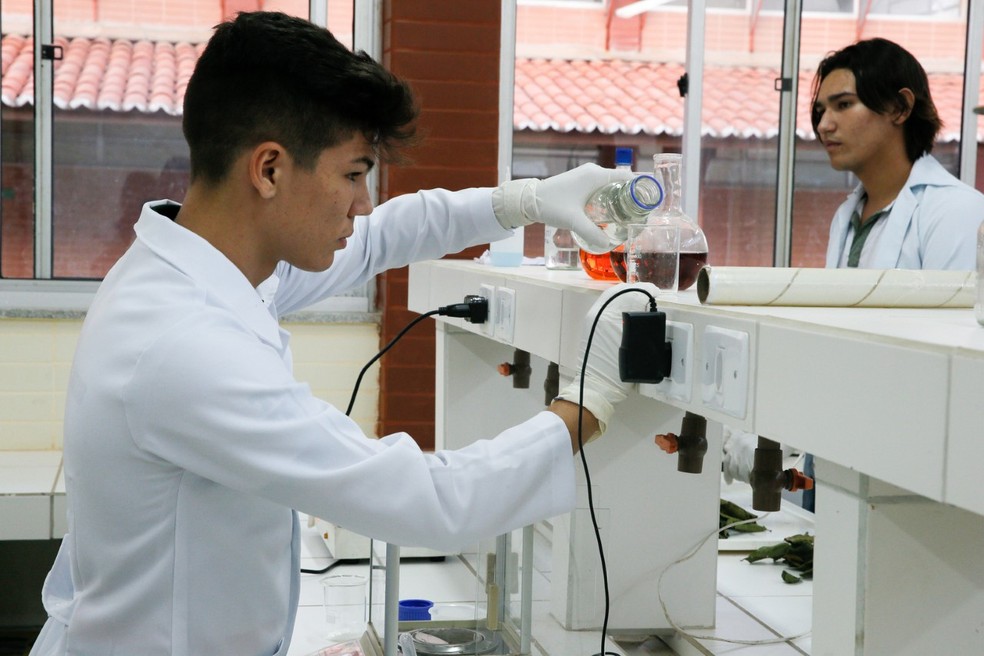 Curativo feito com folha de goiabeira acelara cicatrização de queimaduras — Foto: Kid Junior/SVM