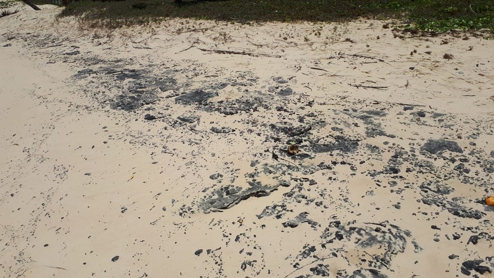 Manchas de óleo voltaram a aparecer em Barra de Tabatinga, no litoral sul potiguar — Foto: Prefeitura de Nísia Floresta