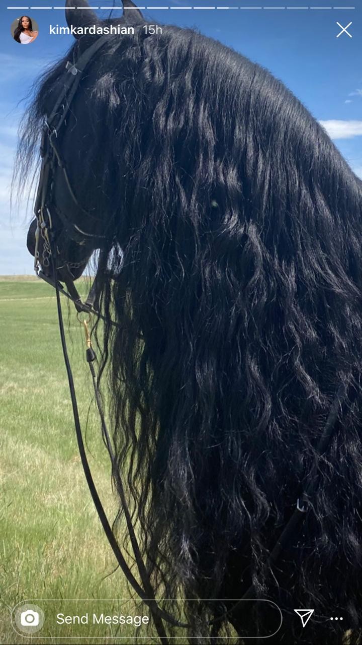 Cavalo da raça Friesian de North West (Foto: Reprodução/Instagram)