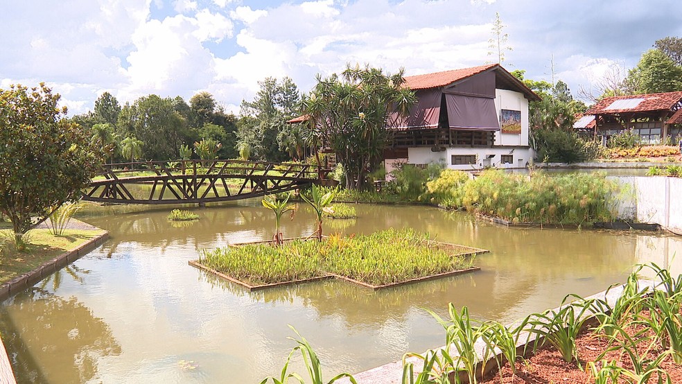 Jardim Botânico de Brasília completa 37 anos — Foto: Márcio Muniz/TV Globo