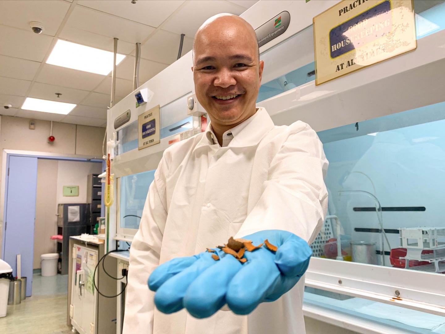 Cientistas transformam casca de tamarindo em combustível para veículos (Foto: NTU Singapore)