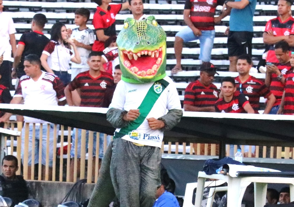 Altos, mascote, Jacaré — Foto: Arthur Ribeiro