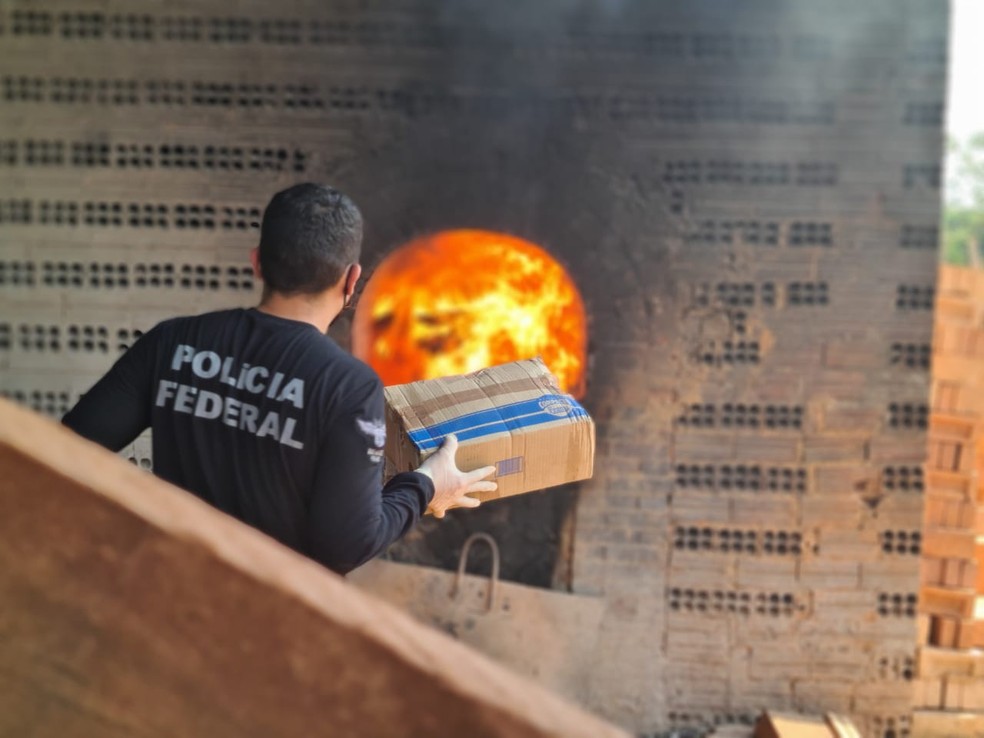 Drogas incineradas em Porto Velho foram apreendidas entre agosto de 2019 e agosto de 2020 — Foto: PF/Divulgação