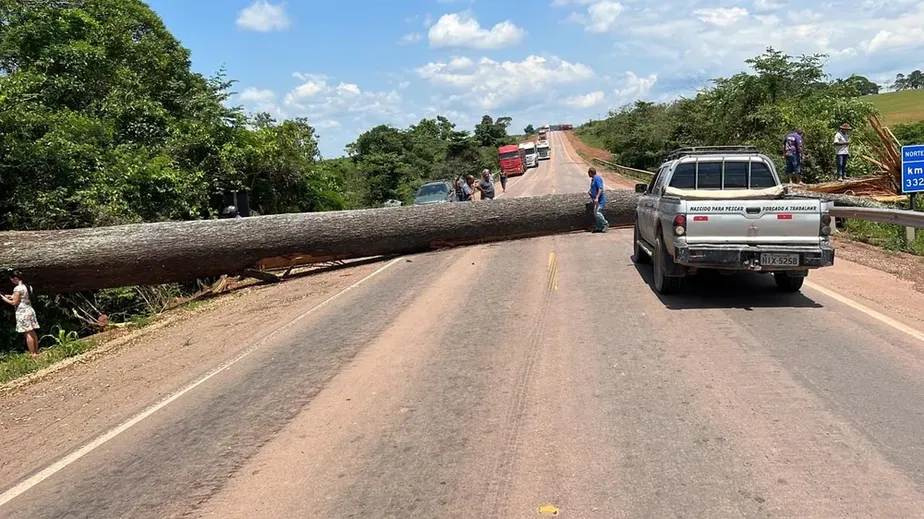 A árvore foi retirada da rodovia com o auxílio de um trator, mas o trecho continuou parcialmente bloqueado até a manhã de sábado