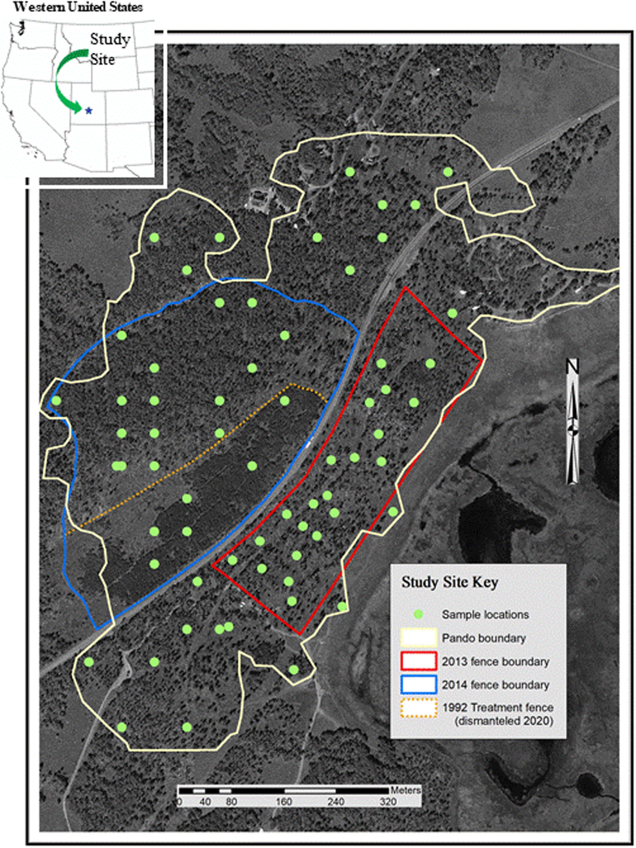 Mapa mostra (em linha amarela contínua) a extensão de 'Pando' no centro-sul de Utah, nos Estados Unidos (Foto: Paul C. Rogers)