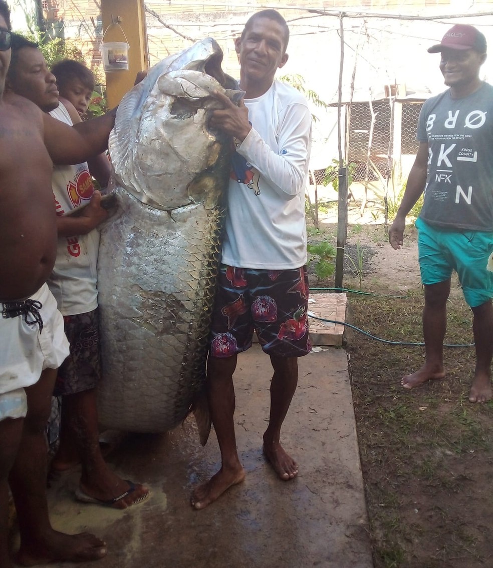Pescador captura peixe de mais de 100 quilos no litoral do RN: 'Foi luta pra tirar da água' — Foto: Reprodução
