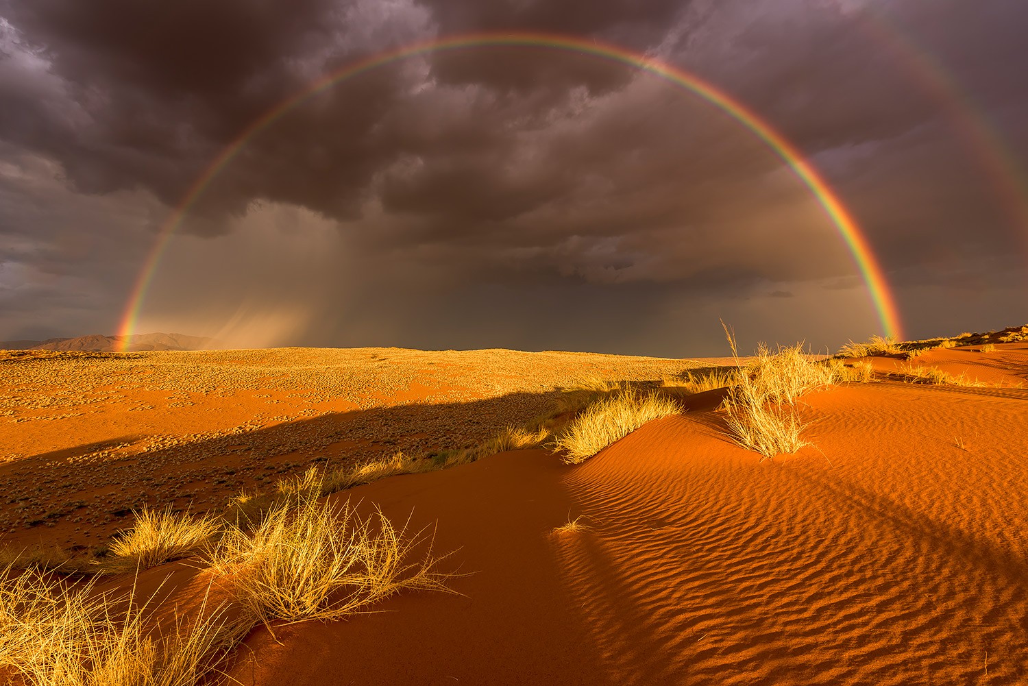 Do deserto da Namíbia aos cânions da Islândia, fotógrafo revela os lugares mais remotos do mundo (Foto: Divulgação/ Stefan Forster)