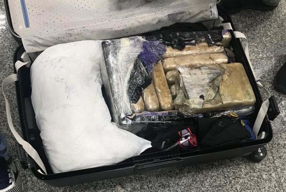 Tabletes estavam divididos em 16 malas idênticas com passageiros no Porto de Santos, SP — Foto: G1 Santos