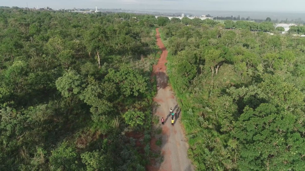 Crianças indígenas cruzam mata para chegarem a parada de ônibus. — Foto: Tv Globo
