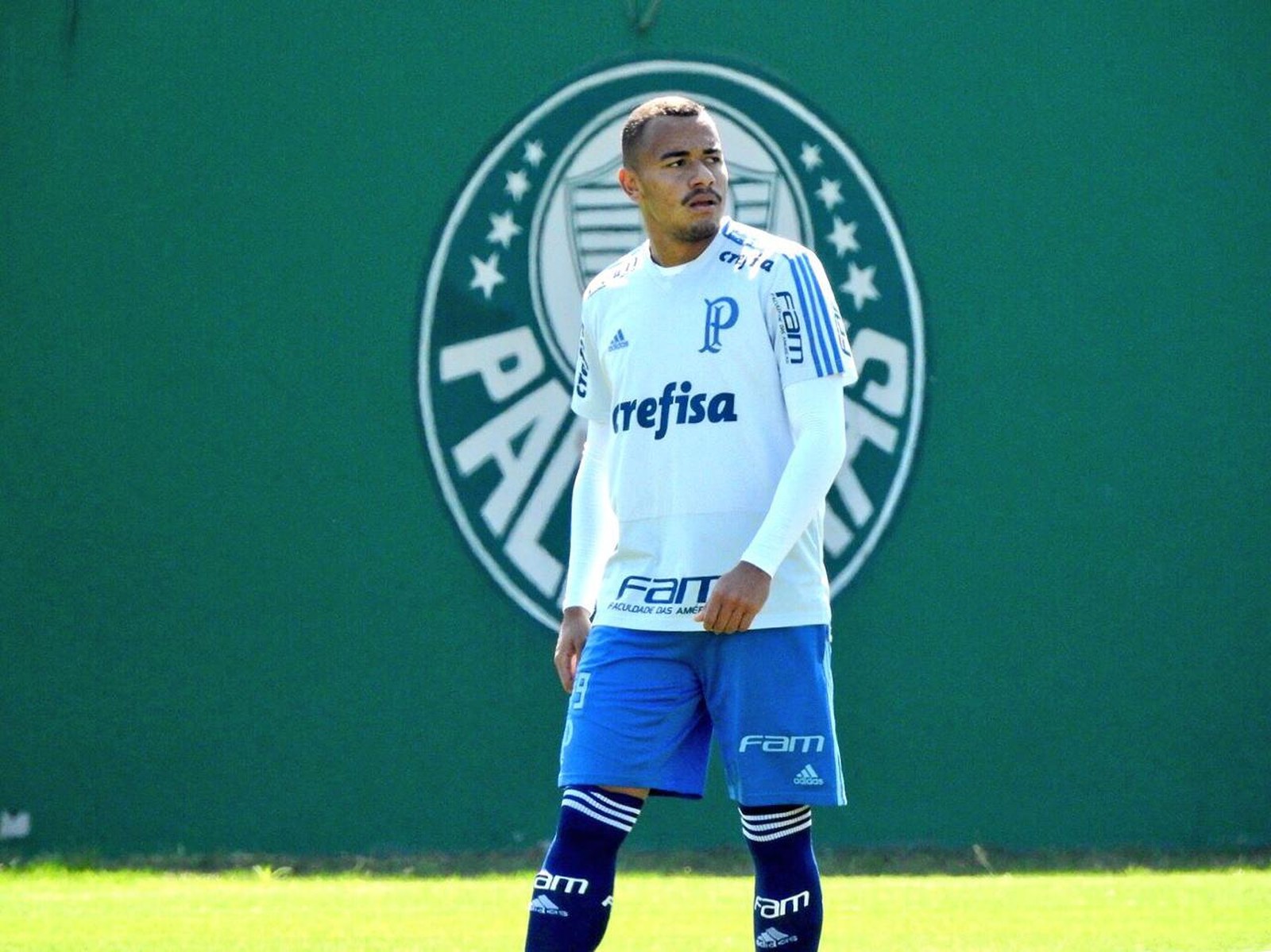 Revezamento no Palmeiras pode dar chance a Papagaio em Salvador