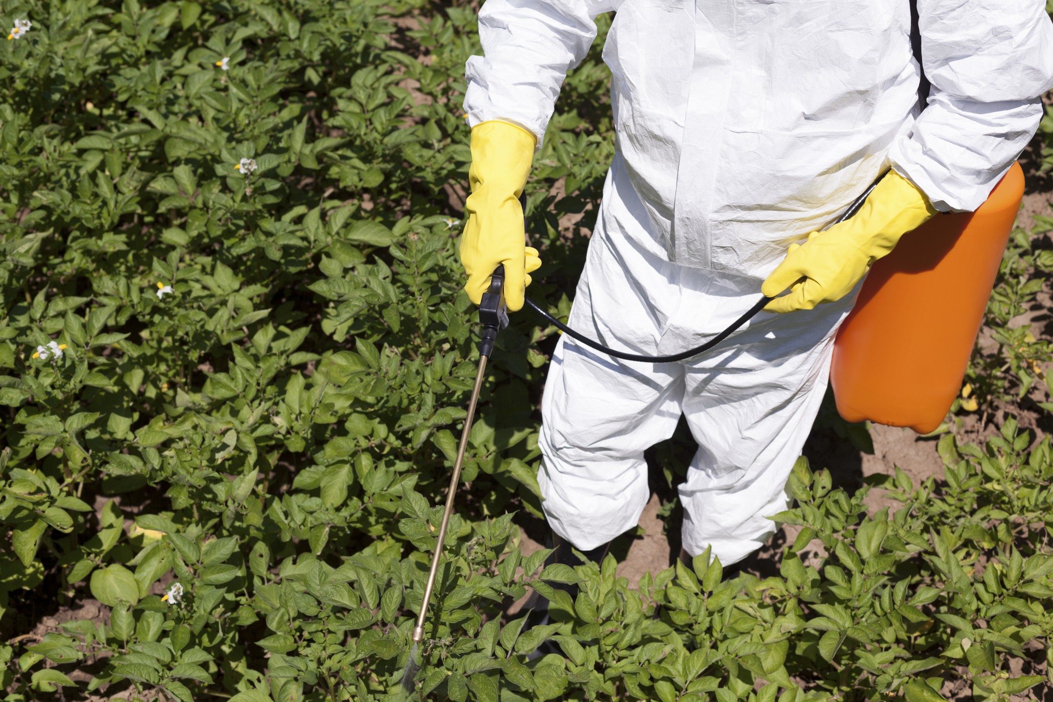 herbicida-agrotoxico-agricultura-plantação-aplicacao (Foto: Thinkstock)