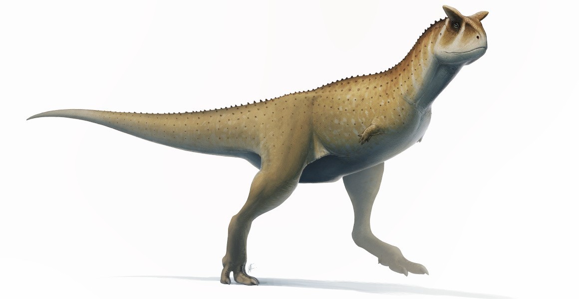 Dinossauros da América do Sul: o gigante com crista de espinhos descoberto  na Argentina - BBC News Brasil