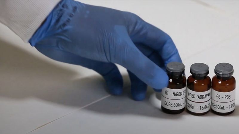 Se a vacina da UFMG se mostrar segura e eficaz, ela poderia ficar disponível a partir do fim de 2022 (Foto: REPRODUÇÃO/TV UFMG)