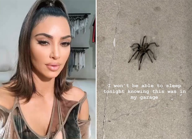 Kim Kardashian é surpreendida por tarântula em sua garagem (Foto: Reprodução / Instagram)