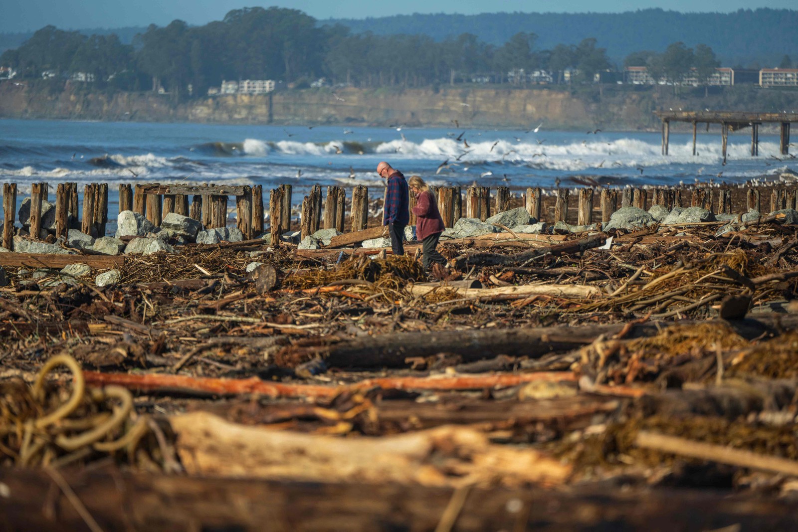 Pessoas caminham entre troncos de madeira e detritos de uma tempestade na Praia do Rio Del Mar, em Aptos, Califórnia — Foto: Nic Coury / AFP