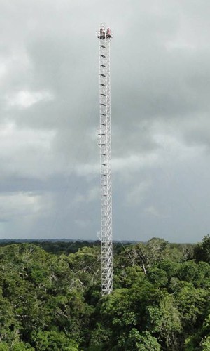 Torre de 82 metros na Amazônia que está gerando dados científicos desde janeiro de 2012, segundo Manzi (Foto: Divulgação/ATTO)