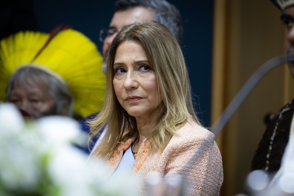 Ethel Maciel é a nova secretária de Vigilância em Saúde e Ambiente do Ministério da Saúde — Foto: Walterson Rosa/MS