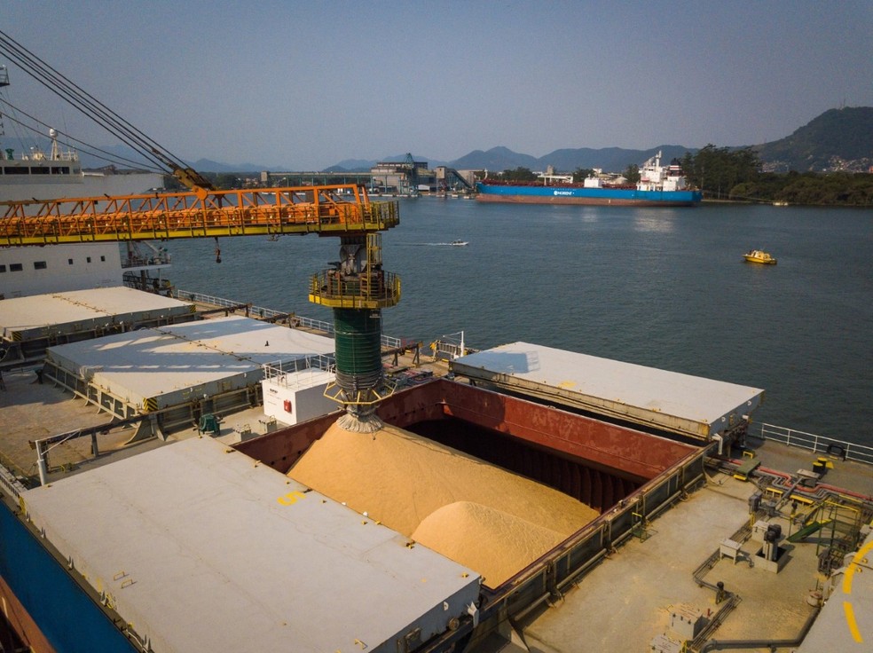 Porto de Santos registra novo recorde mensal de movimentação no mês de março — Foto: Santos Port Authority