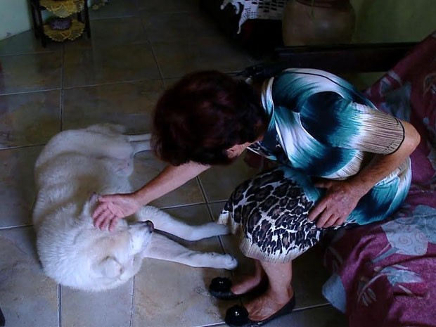 Cão segue passos de dono morto há um ano em Caçapava do Sul, no RS (Foto: Reprodução/RBS TV)