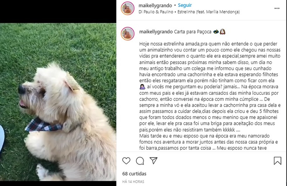 Dona fez uma carta sobre o animal — Foto: Instagram/Reprodução