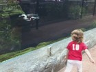 Menina faz sucesso ao brincar com pinguim em zoológico nos EUA