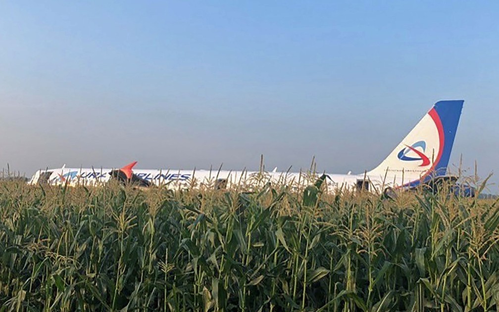 Airbus A321 da Ural Airlines após um pouso forçado em um milharal nos arredores do aeroporto de Zhukovsky, em Moscou — Foto: Comitê de Investigação da Rússia / via AFP Photo