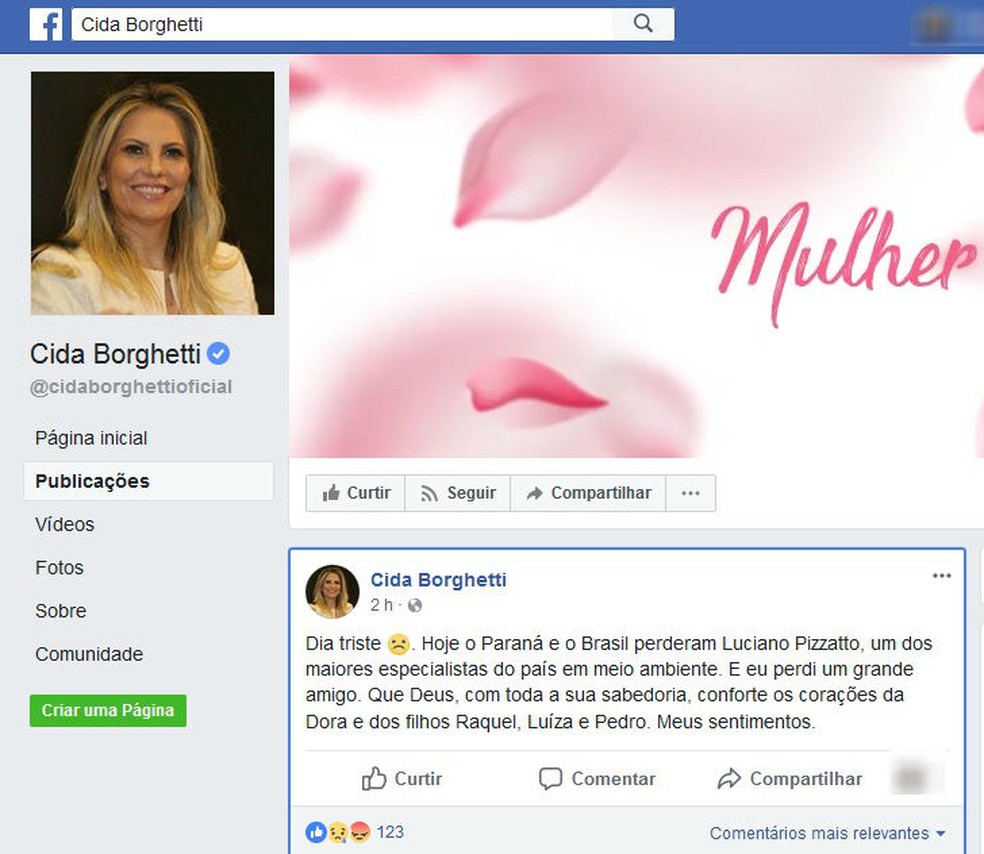 Pela manh, a vice-governadora do Paran lamentou, no Facebook, a morte de Pizzatto (Foto: Reproduo/Facebook)