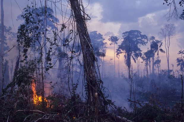 Queimadas na Floresta Amazônica (Foto: Getty Images)
