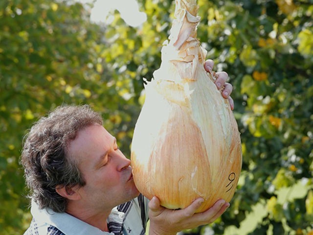Tony Glover com a maior cebola do mundo (Foto: Guiness World Records)