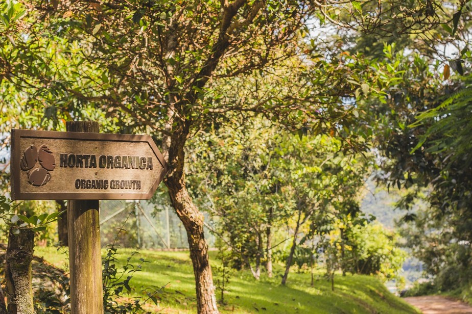 Hotéis por todo o Brasil, como o Ponta dos Ganchos, em Santa Catarina, tem investido em hortas para ajudar no fornecimento dos restaurantes, bem como oferecer novas experiências aos visitantes
