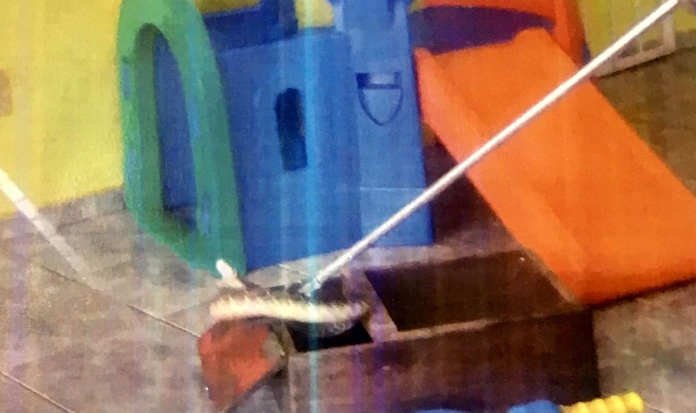 Registro presente no relatório do TCE mostra que até uma cobra foi encontrada entre os brinquedos de uma creche fiscalizada — Foto: TCE/Divulgação