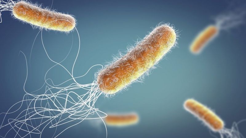 Será que as bactérias podem voltar a ser a principal causa de morte da humanidade? (Foto: CHRISTOPH BURGSTEDT/SCIENCE PHOTO LIBRARY/GETTY)