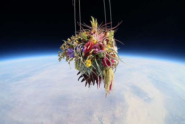 Flores no Espaço (Foto: Divulgação)