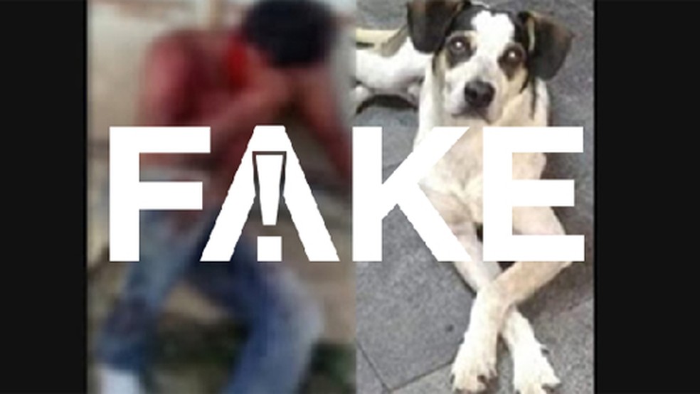 E Fake Que Foto De Homem Espancado Mostra Funcionario Do Carrefour Suspeito De Matar Cachorro Fato Ou Fake G1
