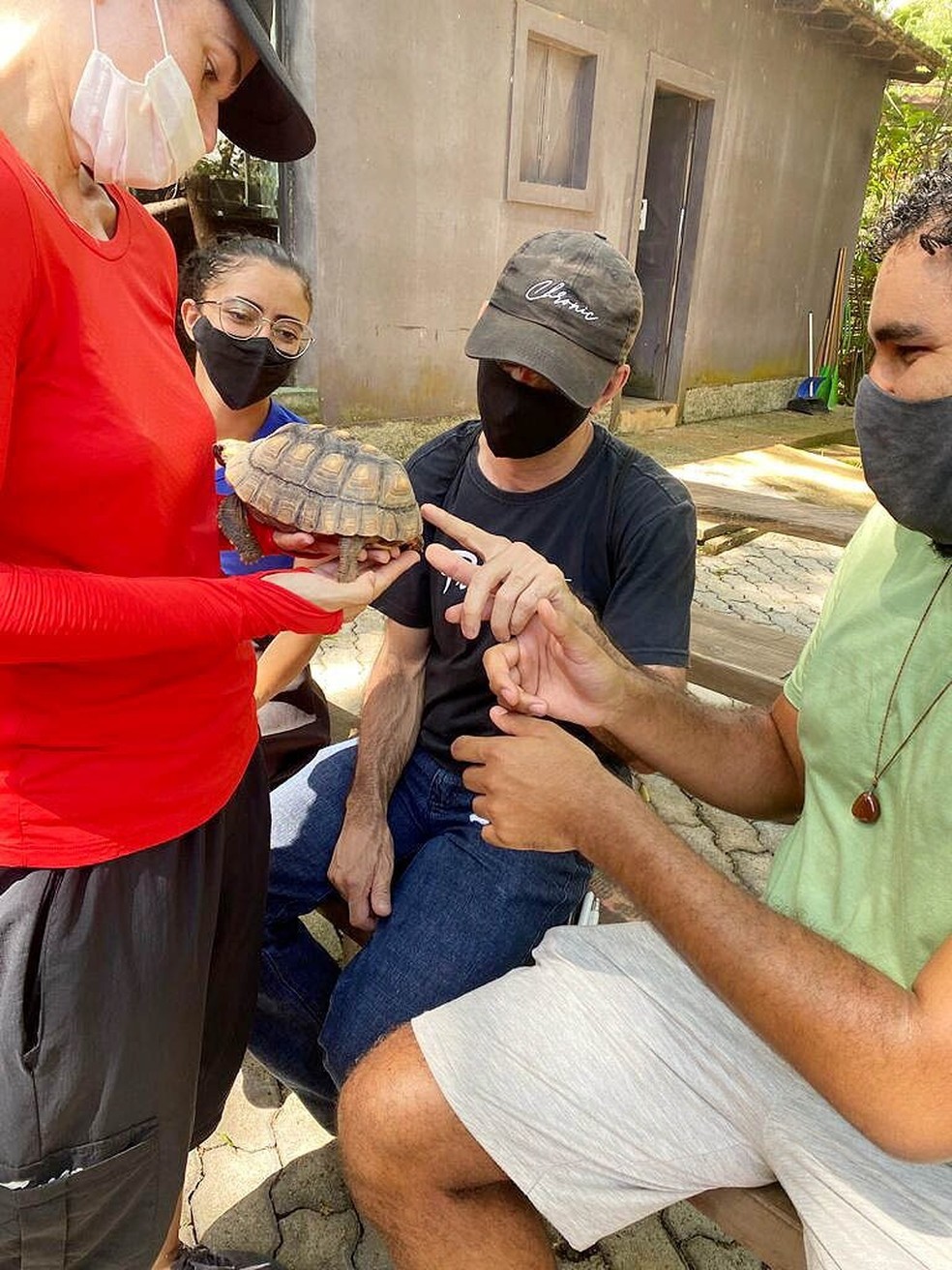 Zoológico de Brasília retoma agendamento para projetos educacionais.  — Foto: Fundação Jardim Zoológico de Brasília/Divulgação