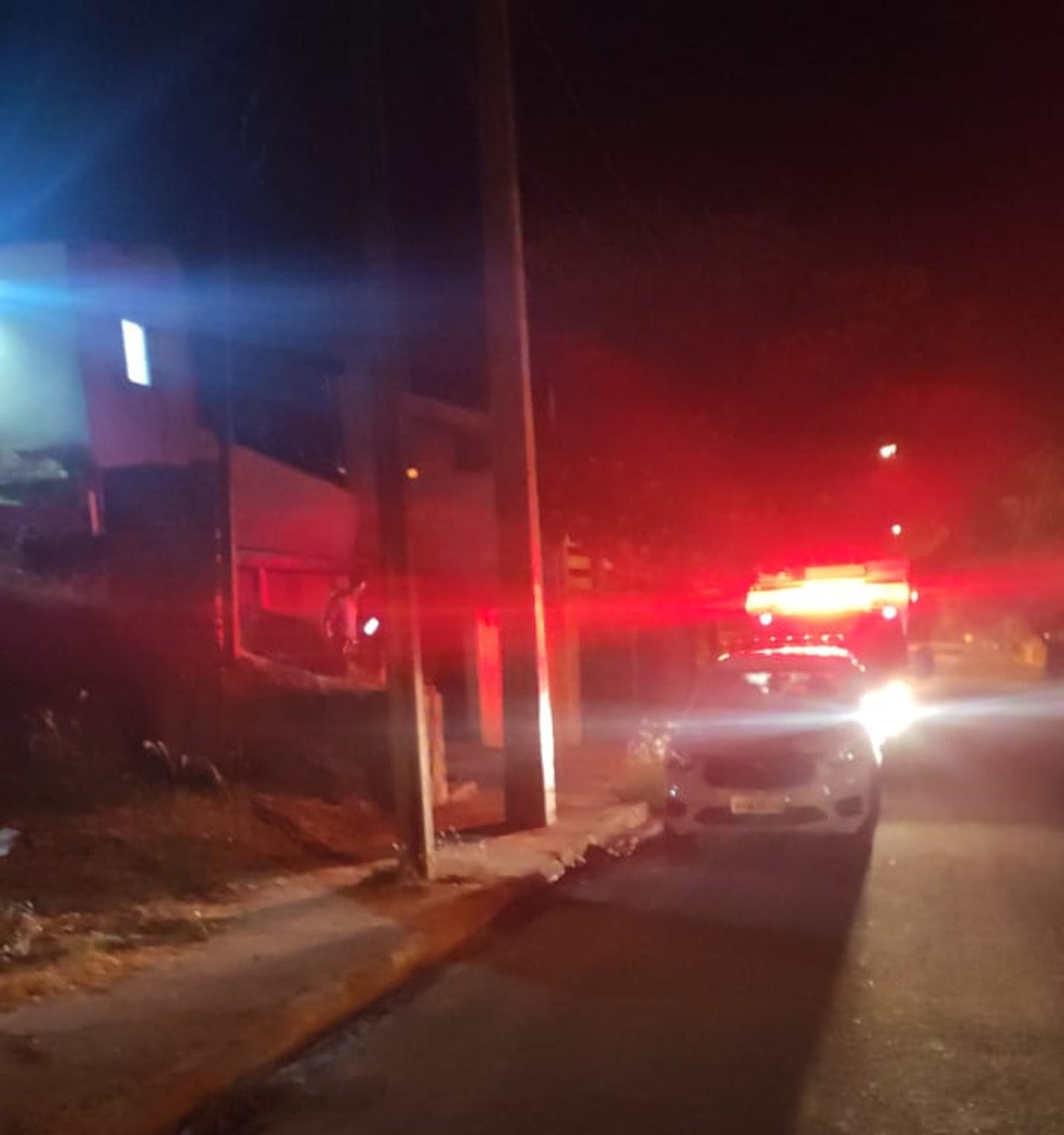 Cavalo caiu do telhado e parou na cozinha de uma casa em Presidente Prudente — Foto: Cedida/CCZ