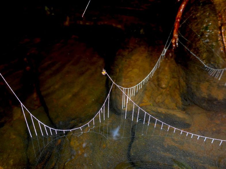    Small Bridges, de Davor Cotoras Viedma (Foto: Creative Commons)