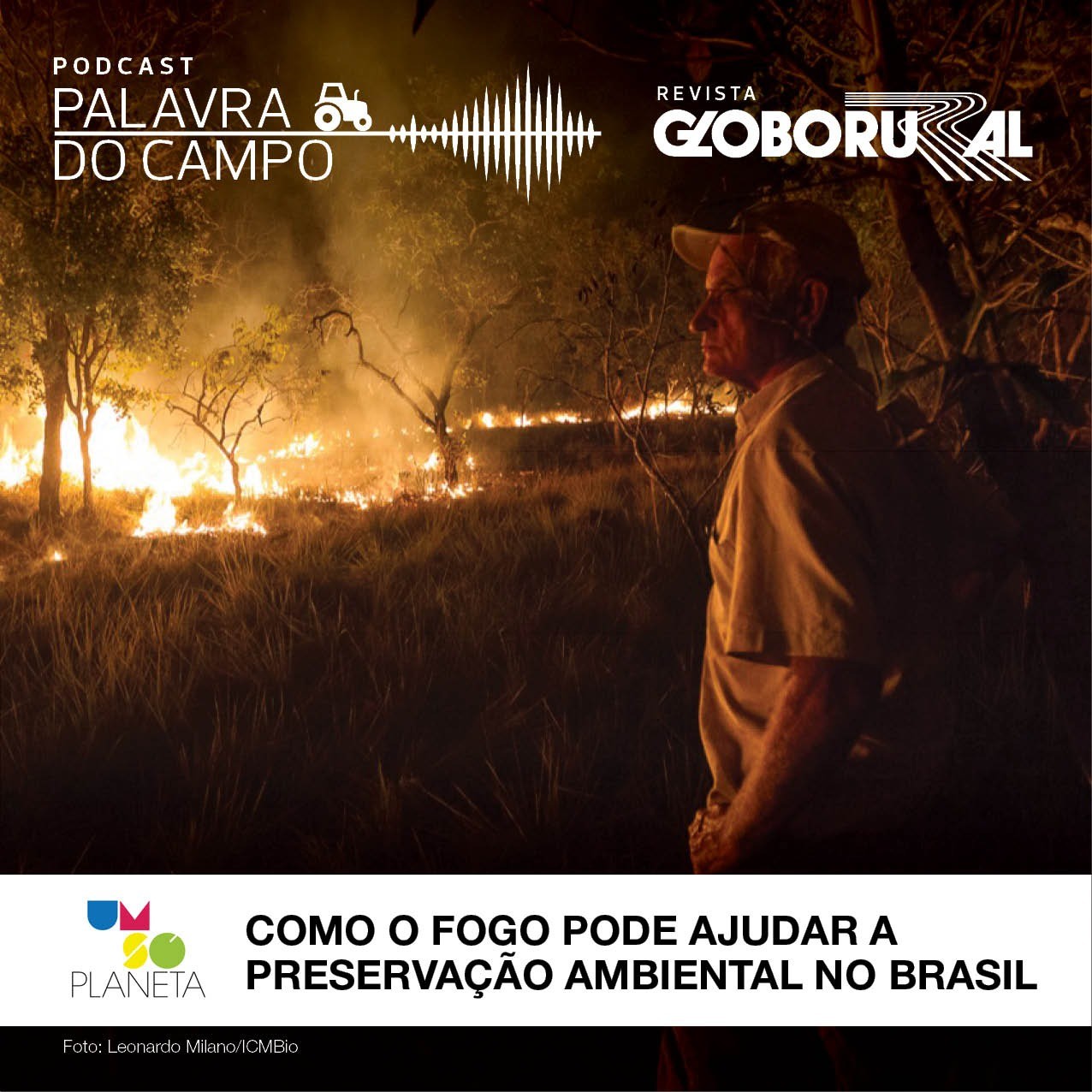 Como o fogo pode ajudar a preservação ambiental no Brasil (Foto: Arte: Felipe Yatabe/Editora Globo)