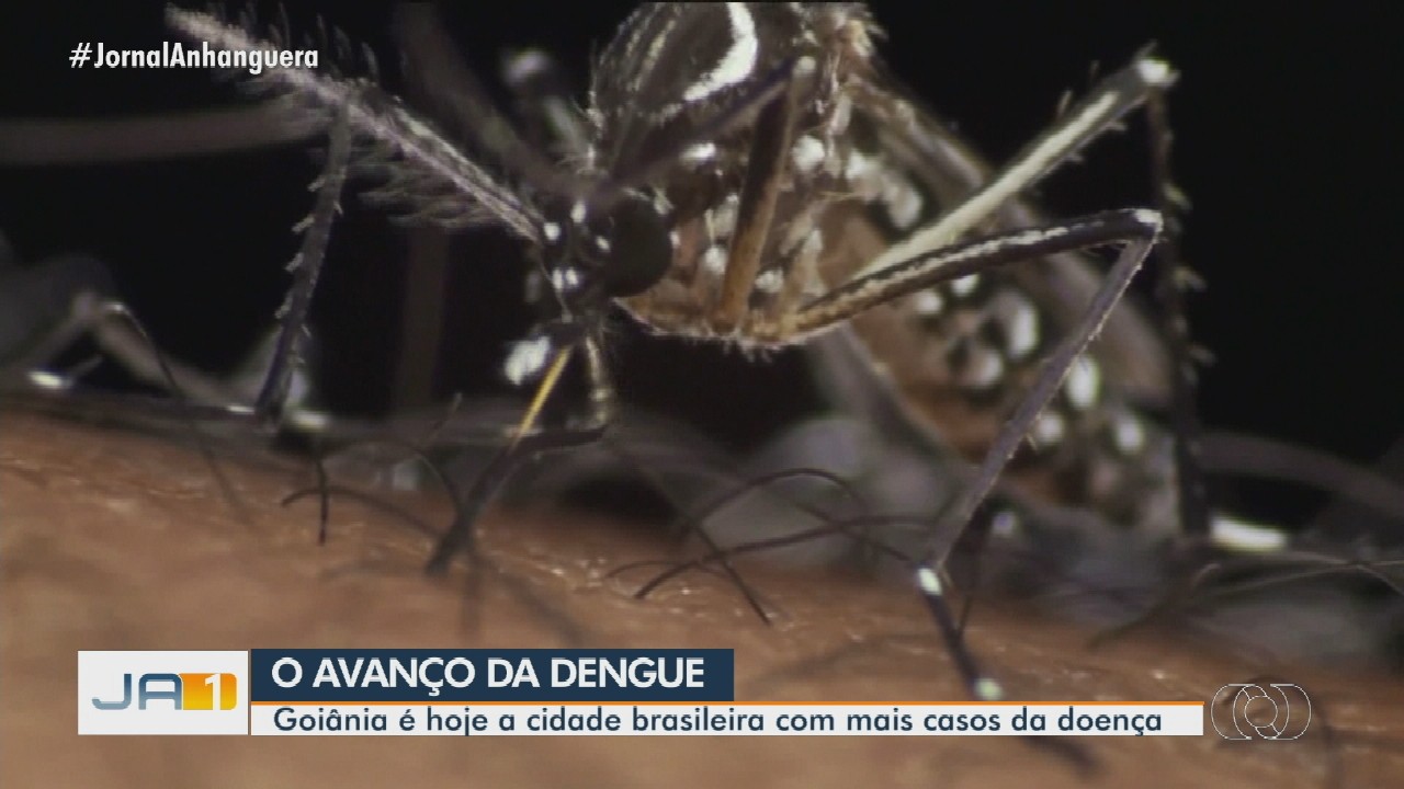 VÍDEOS: Jornal Anhanguera 1ª Edição desta sexta-feira, 25 de março de 2022