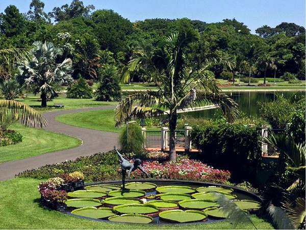 Jardim Botânico Plantarum - Nova Odessa - São Paulo (Foto: Plantarum / Divulgação)