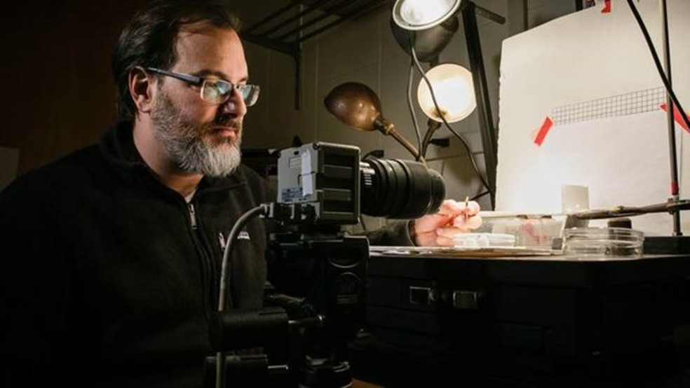 Andrew Suares, entomologista que estudou ao lado de colegas a velocidade e as características mecânicas da formiga drácula — Foto: L. Brian Stauffer / BBC