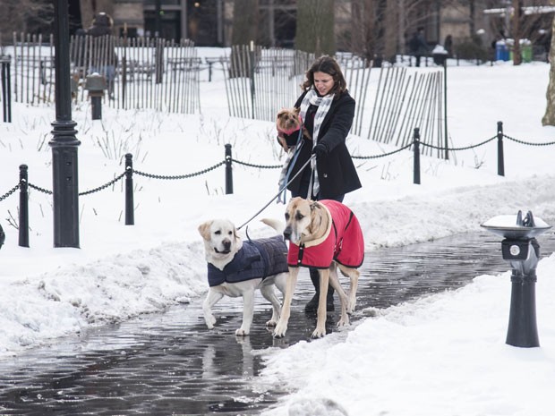 Ela também tem que passear com cachorros (Foto: Raphael Dias/Gshow)