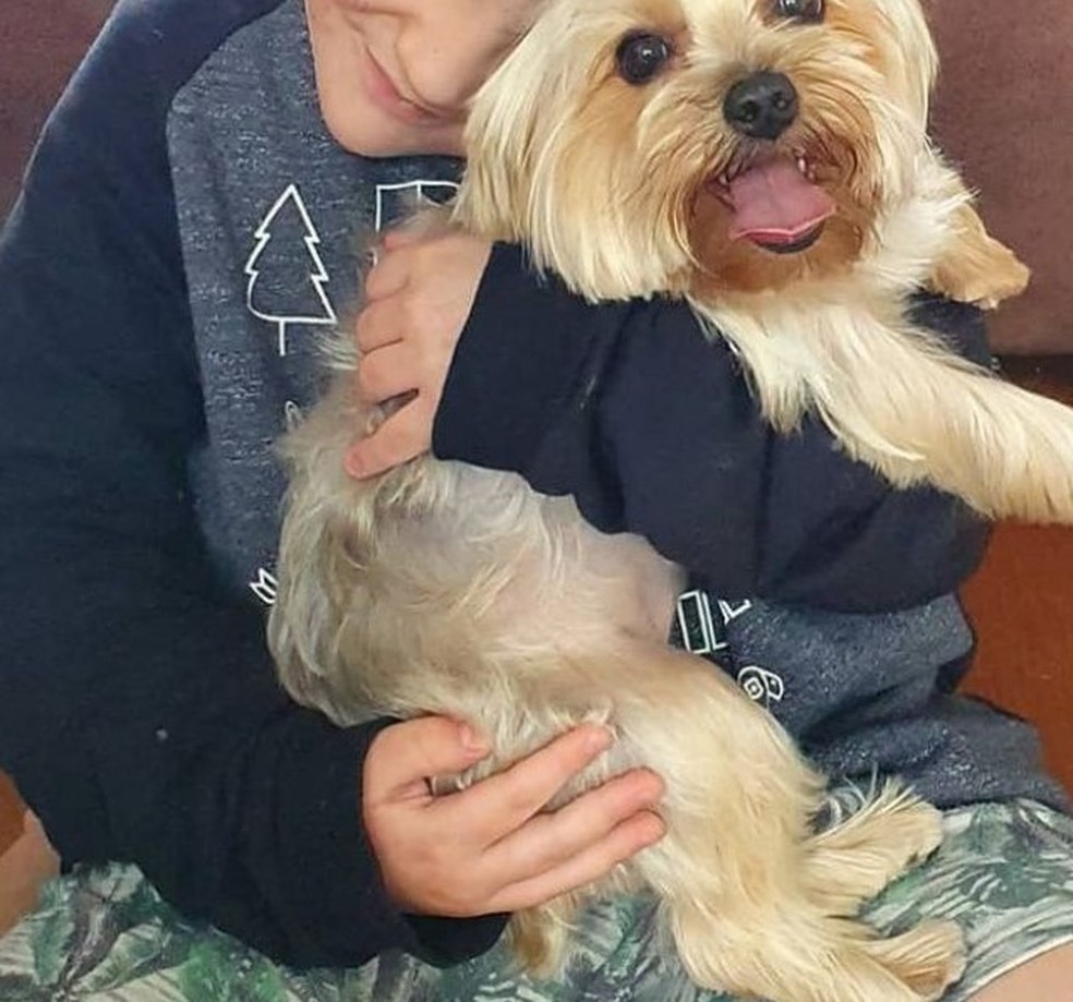 Menino de 10 anos se recupera da depress&atilde;o com ajuda de terapia em BH  &mdash; Foto: Arquivo pessoal