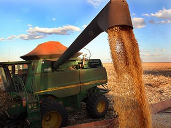 Milho encerrou janeiro como produto mais exportado por Mato Grosso. (Foto: Edson Rodrigues/Secom-MT)