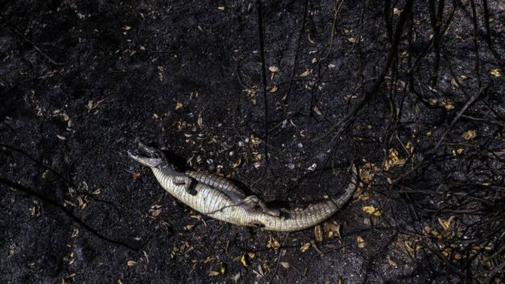  — Foto: Ahmad Jarrah/A Lente via BBC