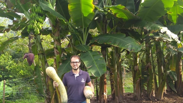 engenheiro-humberto-bananas-aboboras (Foto: Arquivo pessoal)