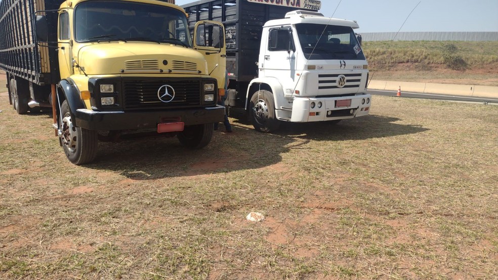 Três criminosos foram a uma propriedade rural com caminhões para levar os bois — Foto: Polícia Civil 