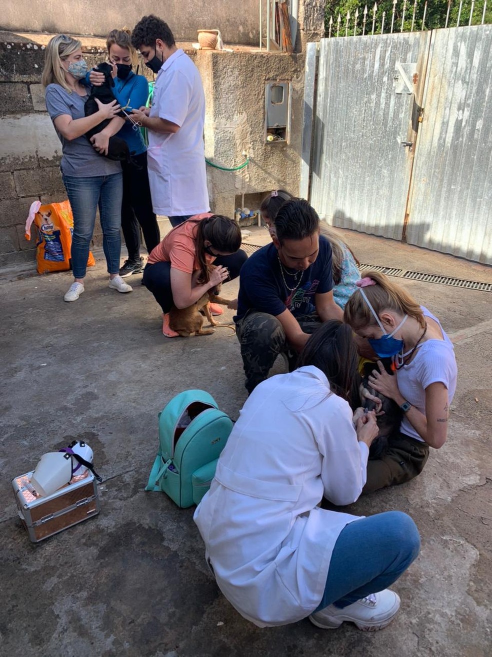 Protetores e mais três veterinários fizeram mutirão para examinar cães em Rio Claro — Foto: Giselle Pfeifer/Arquivo Pessoal