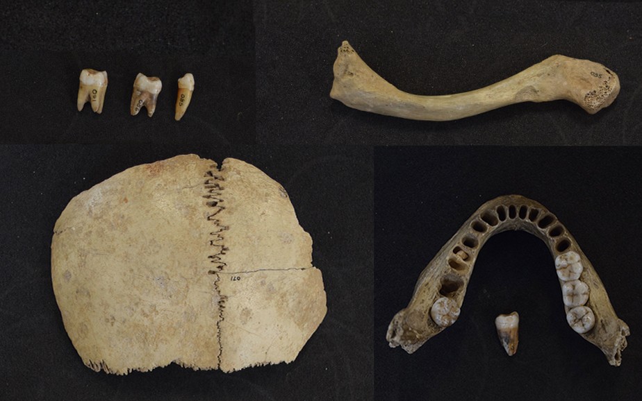 Fósseis de humanos do paleolítico no Reino Unido